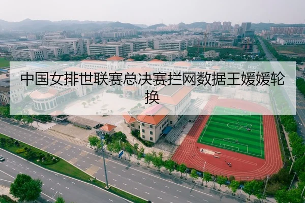 中国女排世联赛总决赛拦网数据王媛媛轮换