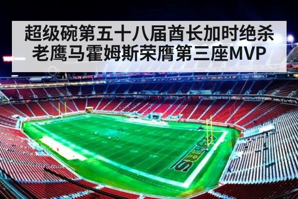 超级碗第五十八届酋长加时绝杀老鹰马霍姆斯荣膺第三座MVP