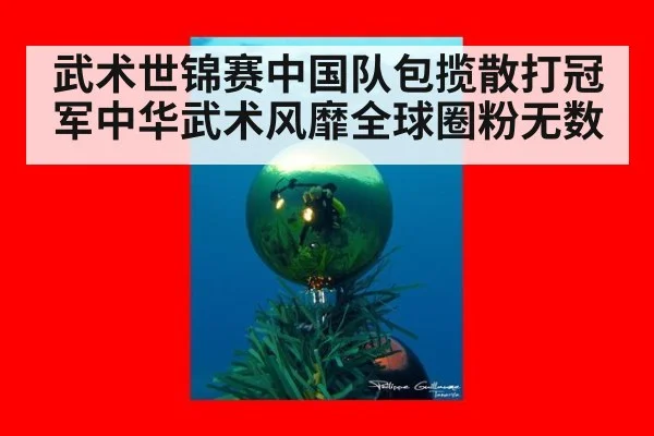 武术世锦赛中国队包揽散打冠军中华武术风靡全球圈粉无数